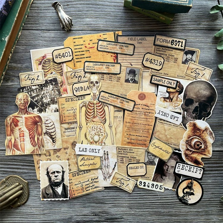 DIY Scrapbooking muñeca Vintag - Photography Journal reseña y precio