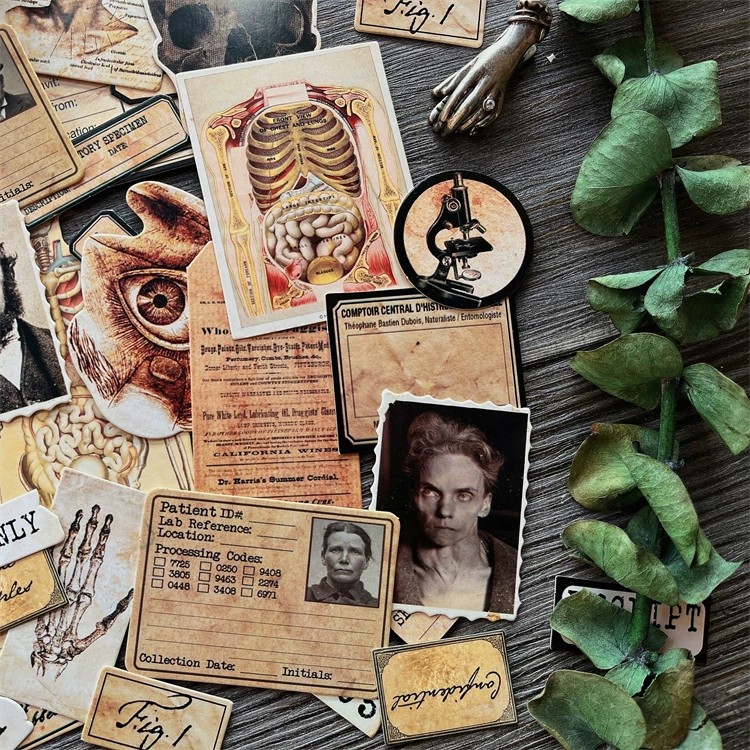 DIY Scrapbooking muñeca Vintag - Photography Journal reseña y precio
