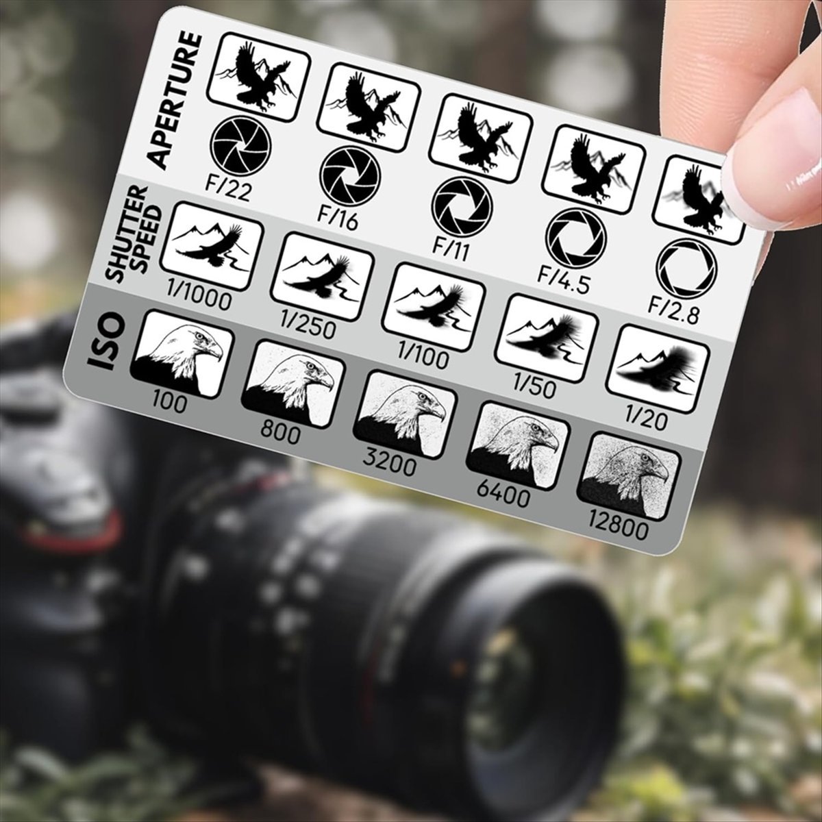 L77A 2 Piezas Visor de Composi - Photography Triangle reseña y precio
