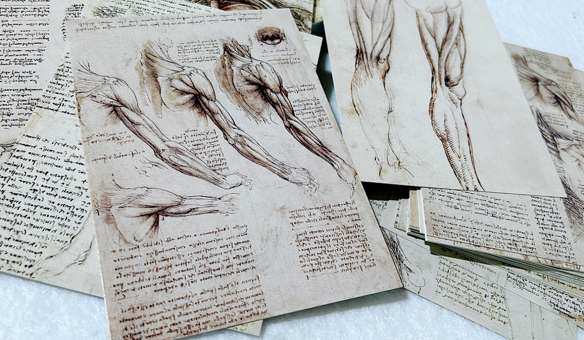 30 hojas/lote de tarjetas post - Photography Types reseña y precio