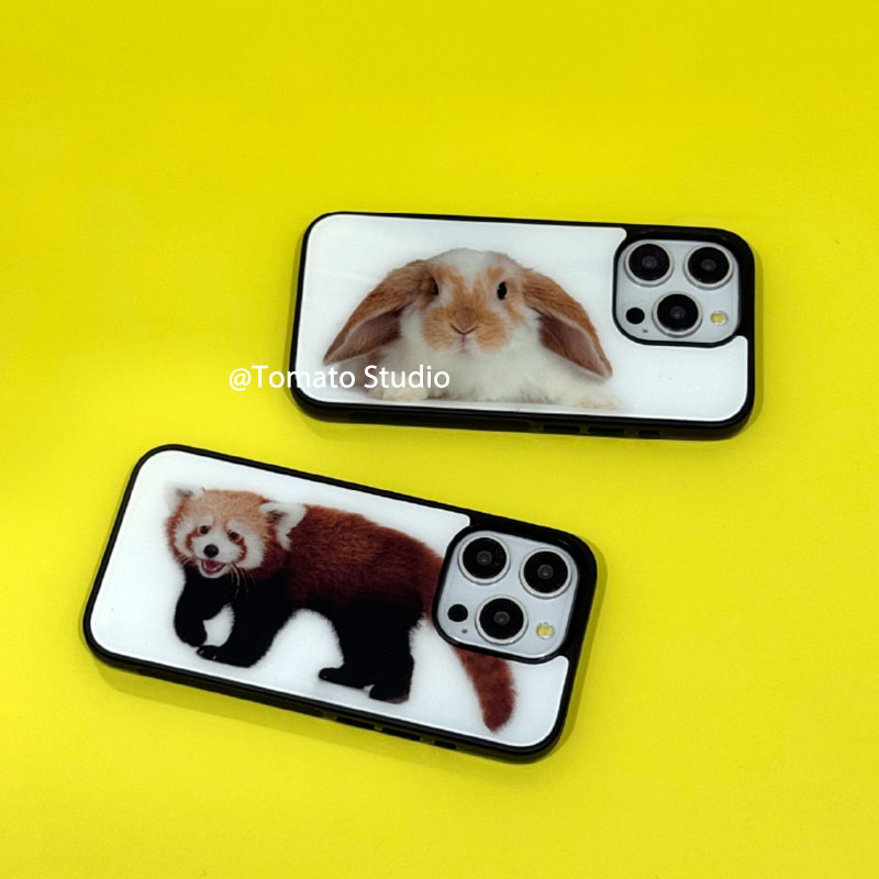 Funda de resina fundida antica - Photography With Iphone 15 reseña y precio