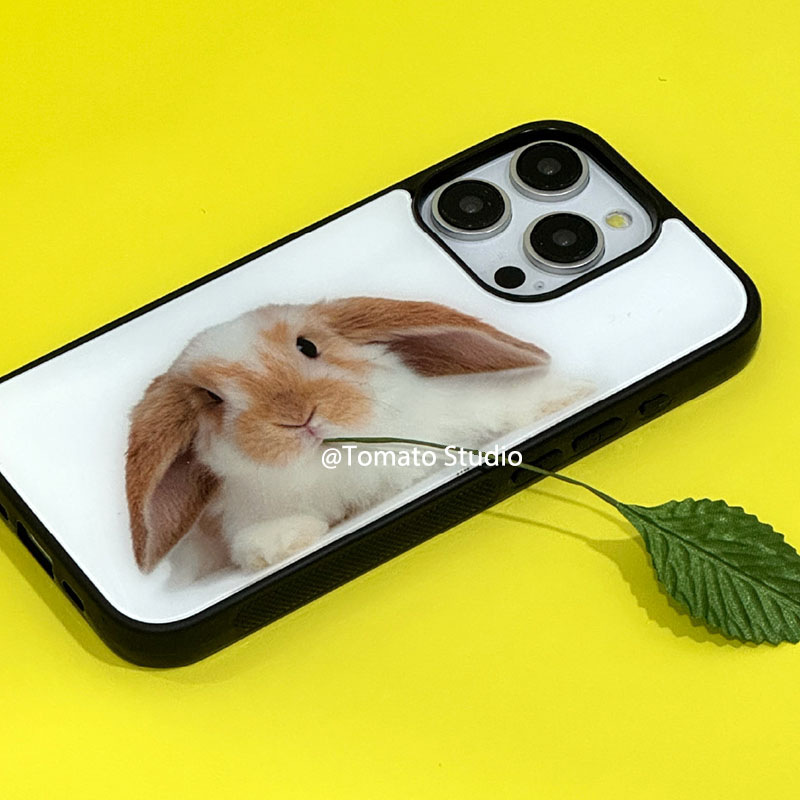 Funda de resina fundida antica - Photography With Iphone 15 reseña y precio